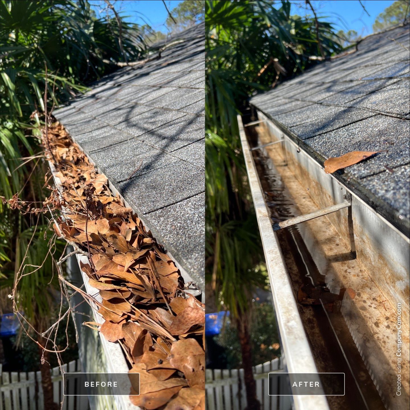 Before and After-13-Feb 17 2025 02_40pm-gM5S