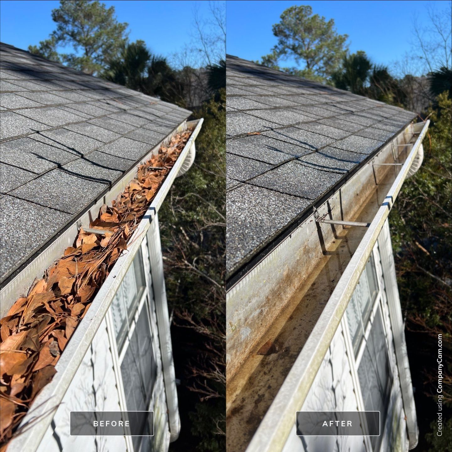 Before and After-15-Feb 17 2025 02_40pm-k4Xp