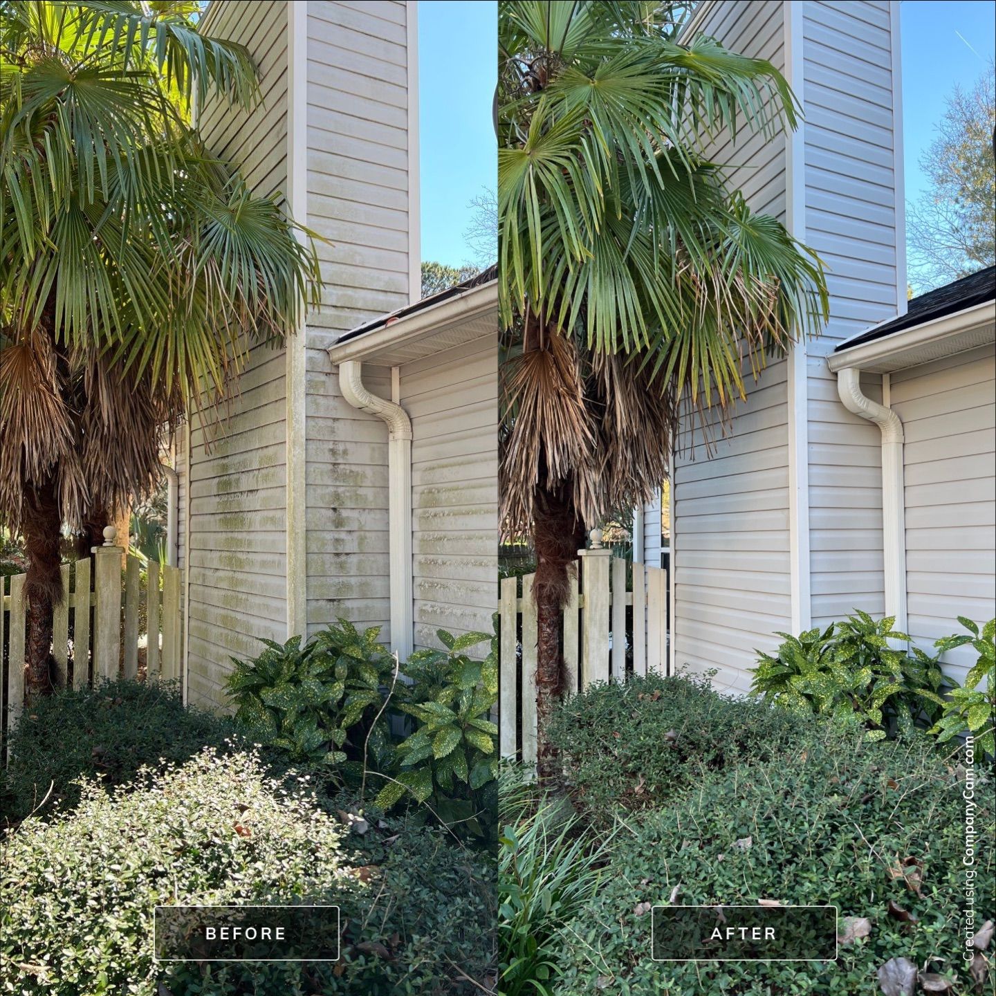 Before and After-20-Feb 17 2025 04_36pm-gao9