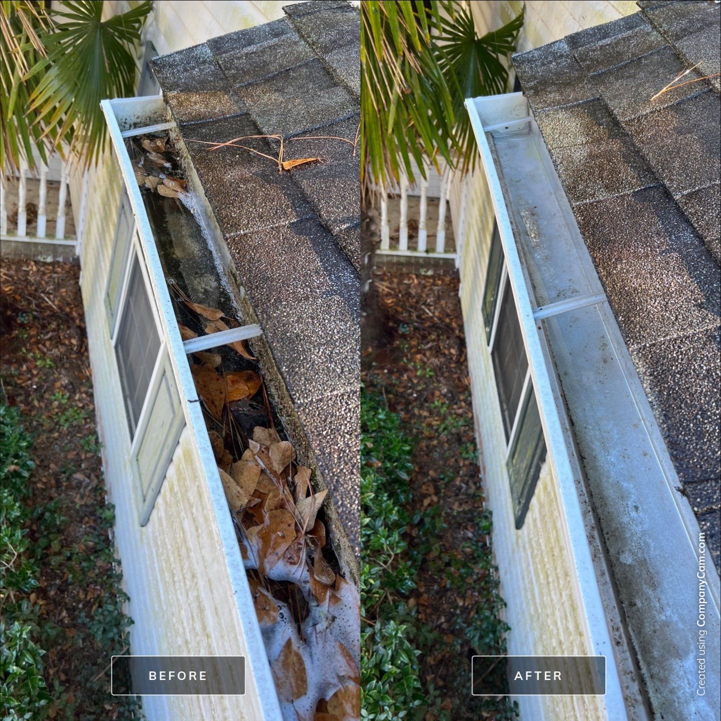 Before and After-24-Feb 17 2025 03_35pm-geA9