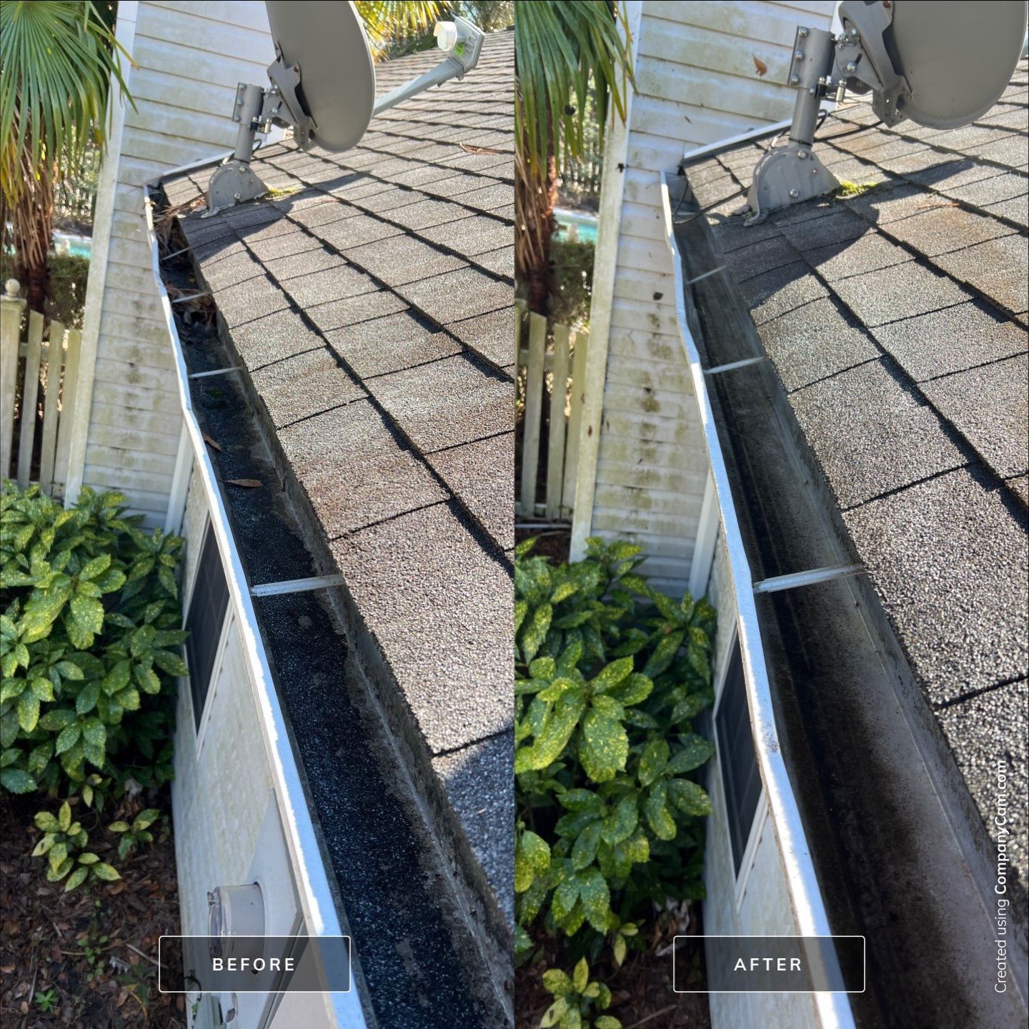 Before and After-4-Feb 17 2025 12_46pm-WisL