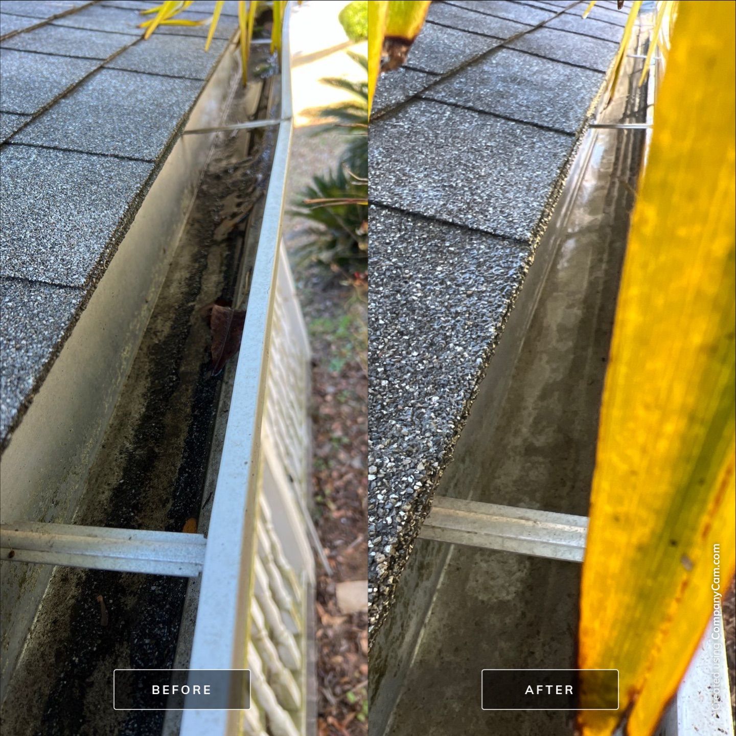 Before and After-6-Feb 17 2025 12_46pm-Bym9