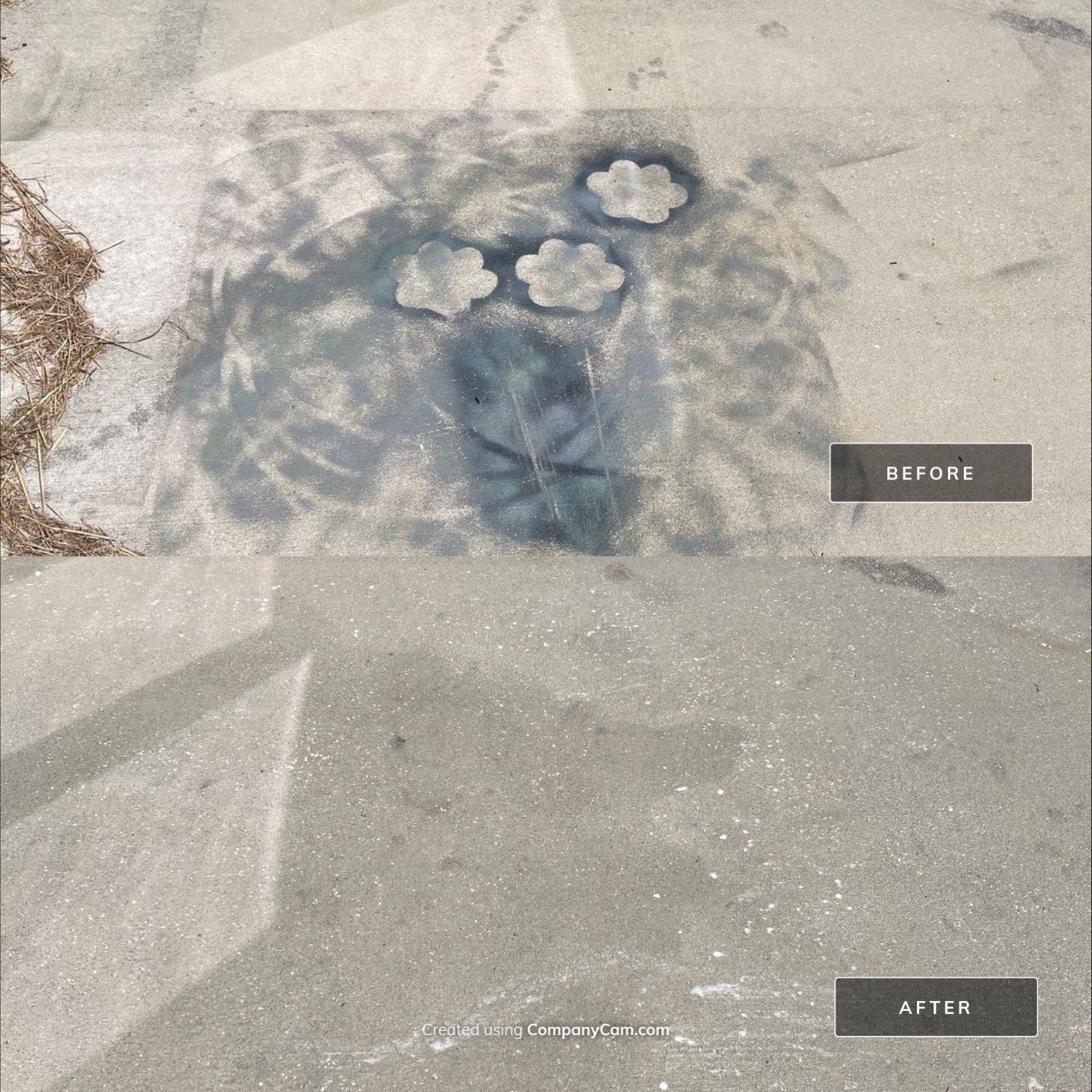 Before and After-6-Sep 17 2024 12_15pm-1vDN