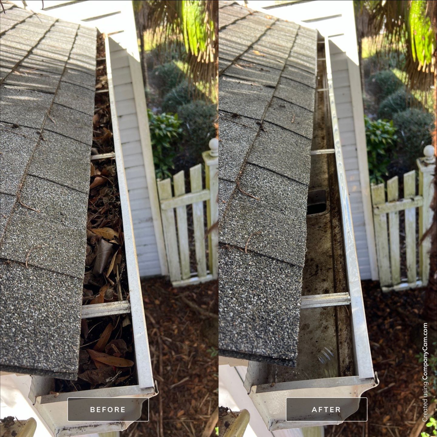 Before and After-9-Feb 17 2025 12_51pm-BaKy