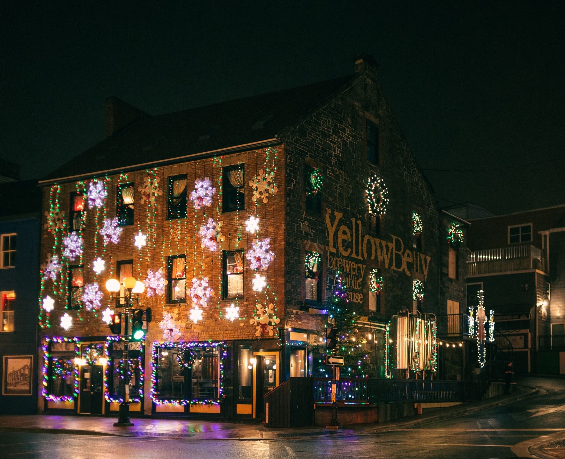 Commercial Christmas Lights
