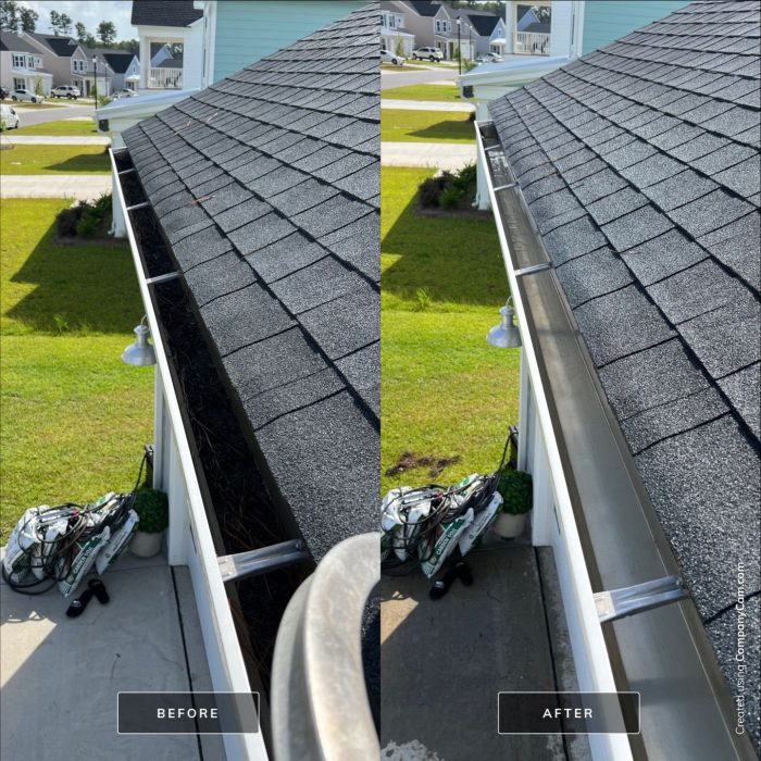 Gutter Cleaning service near Summerville SC