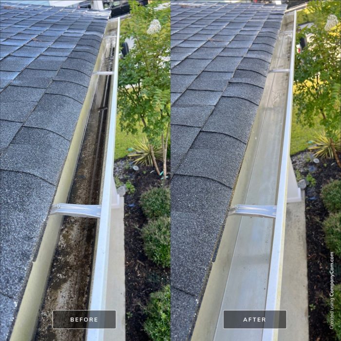 Gutter Cleaning results near Summerville SC