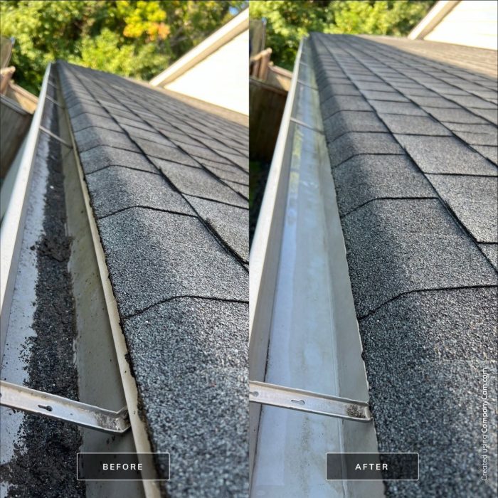Gutter Cleaning project near Summerville SC