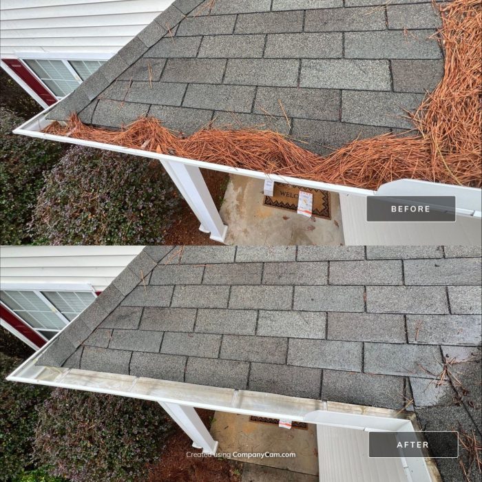 Gutter Cleaning results in Summerville SC