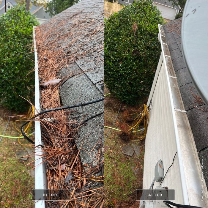 Gutter Cleaning project in Summerville SC